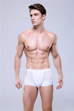 Boxer Homme Respirant en Mesh | Sous-vêtement Léger & Confortable